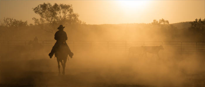 Horseback riding in Western Australia