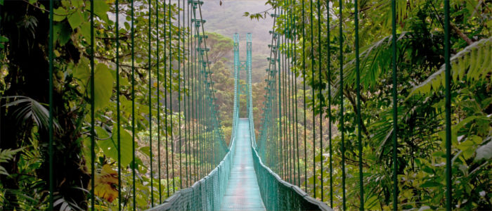 Suspension bridge in the rainforest of Costa Rica